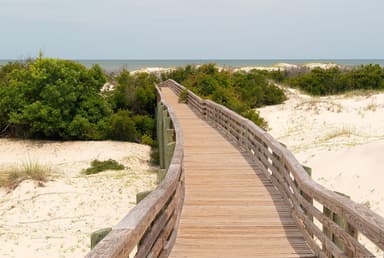 Sea Camp boardwalk
