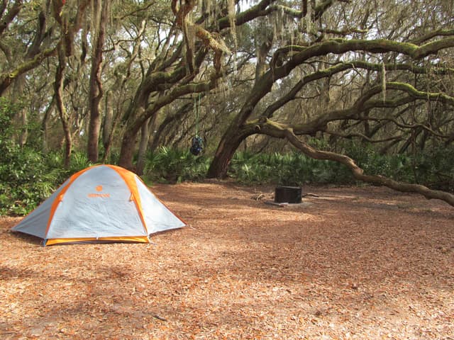Stafford Beach Campground site 3
