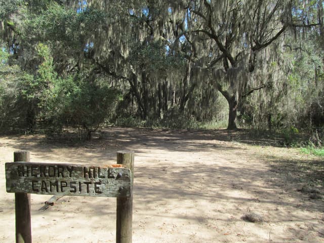 Hickory Hill Wilderness Campsite