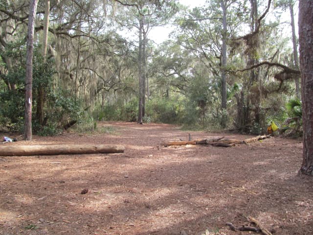 Yankee Paradise Wilderness Campsite
