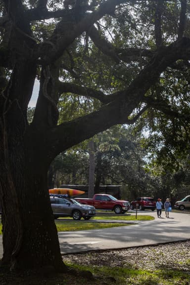 Davis Bayou Campground