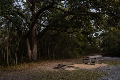 Campground fire ring and picnic table