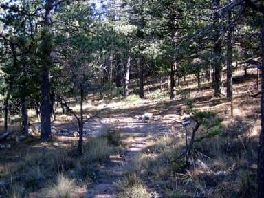 Bush Mountain tent pad