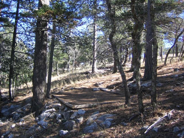 Blue Ridge campsite