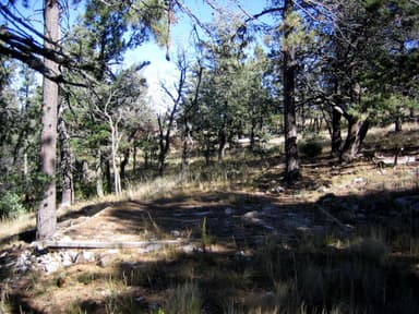 Blue Ridge Campsite