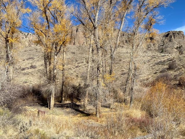 Red Creek Campground 1