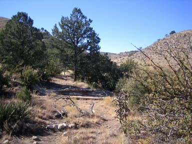 Marcus campsite