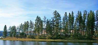 Marcus Island Campground