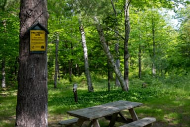 Fire Permit Site