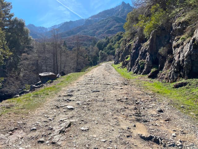 South Fork Road