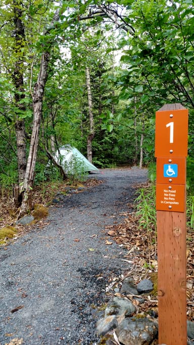 Exit Glacier Campground site #1