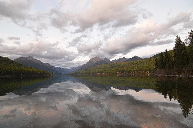 Bowman Lake