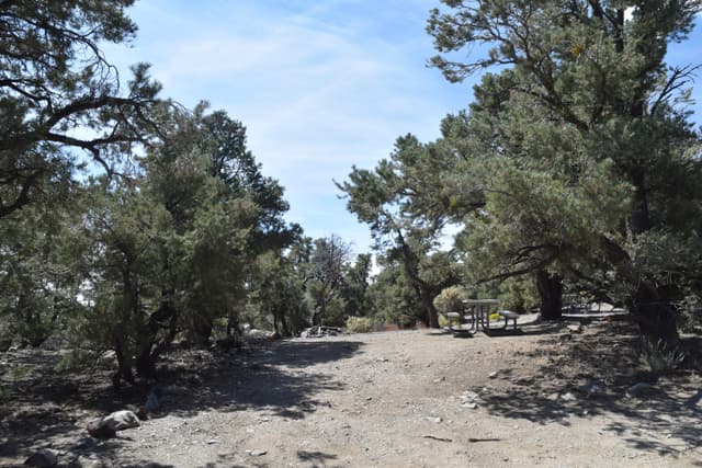Mahogany Flat Campground Sample Site #1