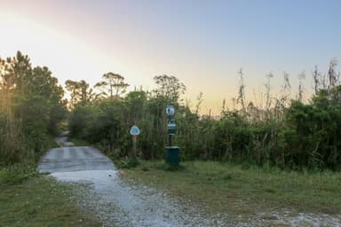Florida Trail