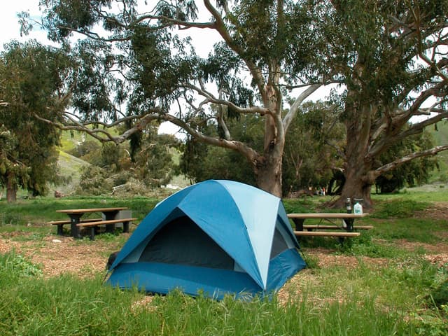 Santa Cruz Island Scorpion Canyon Campground by Kathy deWet Oleson