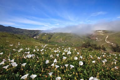 Santa Cruz Island Scorpion Canyon Campground by Tim Hauf