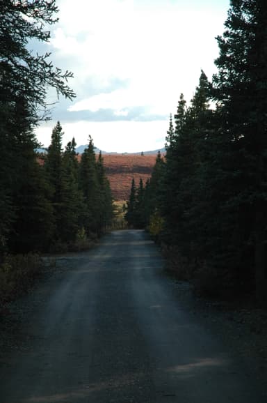 Savage River Campground