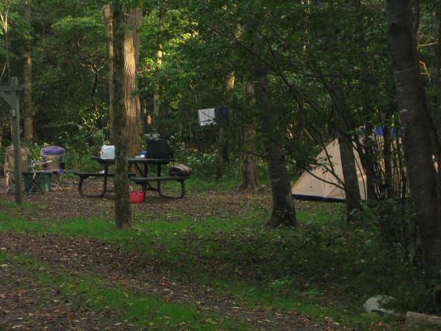 Glade Creek Campground