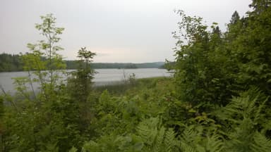 View of Chickenbone Lake from the East Lake Chickenbone Trail