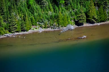 Aerial View of the Water and Shoreline of Duncan Bay