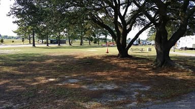 Tent-Only Site