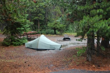 Grant Village Campground