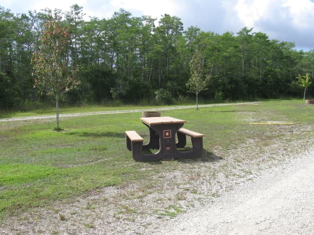 campsite at Burns Lake