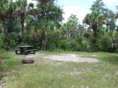 A Campsite in Gator Head Campground