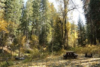 Cold Springs Campsite