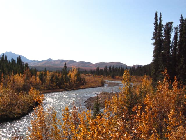 Sanctuary River