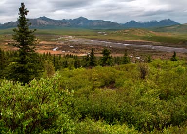 South of Savage River