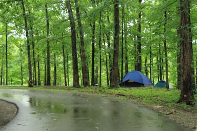 Tent camping at the Meriwether Lewis Death and Burial Site Campground