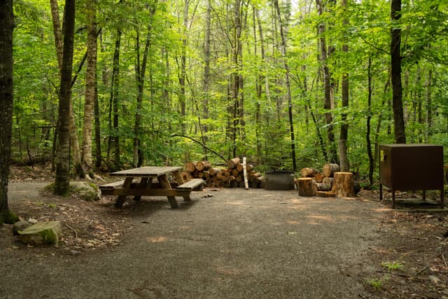 Lunksoos Campsite 1