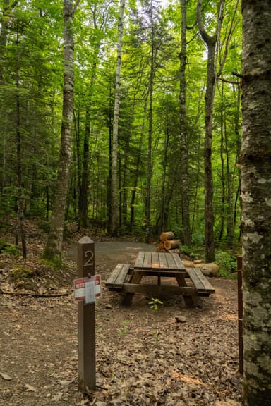 Lunksoos Campsite 2