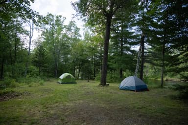Upper East Branch Campsite