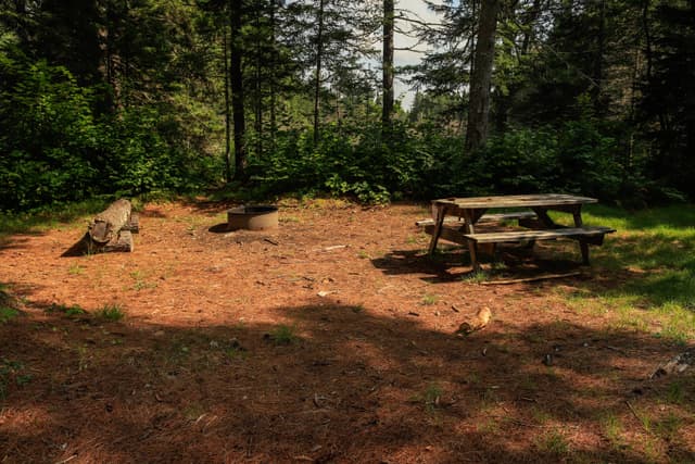 Wassataquoik Campsite