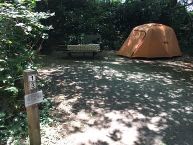 Example of camp site at Elk Prairie Campground