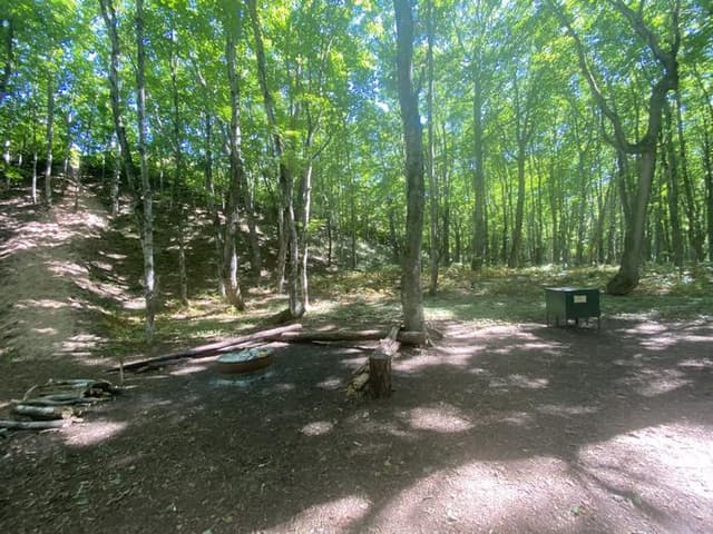 Masse Homestead Group Backpacking Site