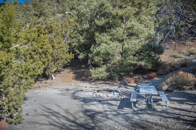 Thorndike CG Sample Site