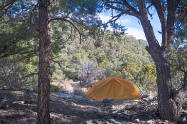 Thorndike CP Sample Site with Tent