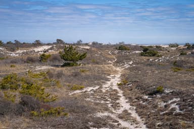 Burma Trail in the western Wilderness camping zone