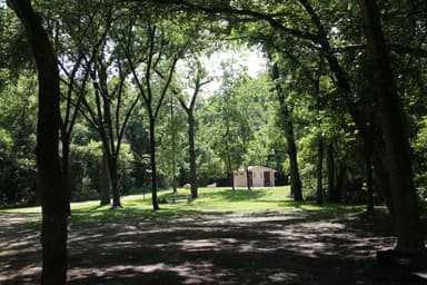 Bay Creek Front Campsites