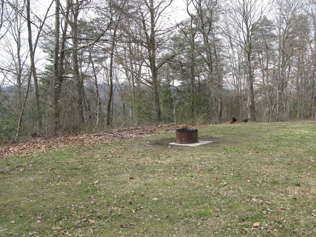 Burnwood Groups Site
