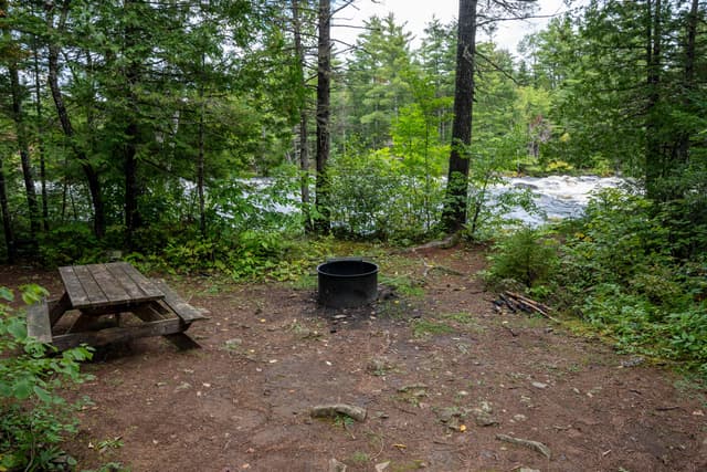 Pond Pitch Campsite