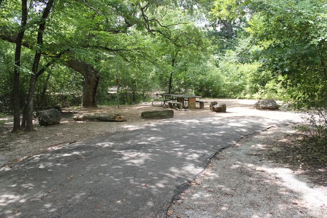 Rock Creek Campground site 55