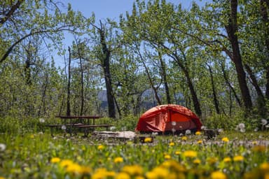 St. Mary Campground Campsite