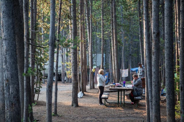 Canyon Campground