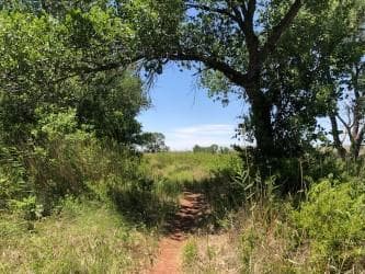 Mullinaw Trail