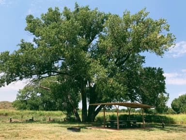 Plum Creek Campground