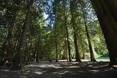 Harlequin Campground